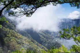 广州出发-湖北6天游行程攻略，打卡武当山+神农架+三峡大坝等景点图片