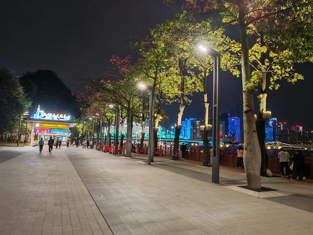 花城看花看灯饰