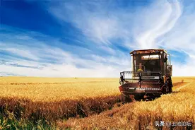 2022年粮补最新消息：一亩地多少钱？发放了吗？图片