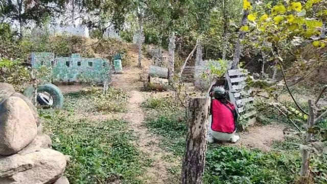 �ʺ������˵��Ž������Щ ��Ȥ���³����Ž���Ŀ