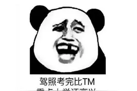 蚌埠住了！6元的一个小游戏，竟让网友回想起了驾考的噩梦经历？图片