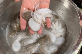 9月，遇到它抓紧吃，蛋白质含量极高，随手一煮鲜脆美味，太香了图片