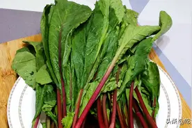 水萝卜全身是宝，很多人只吃根，却把叶子丢了，其实叶子才是宝图片