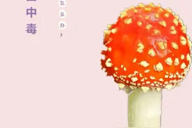 食用野生菌中毒后应这样做！图片
