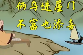 不是迷信！“两鸟进屋门，不富也添喜”，家里来这两种鸟千万别赶图片
