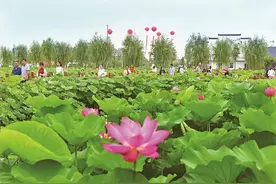 名单公示，如皋全省示范！图片