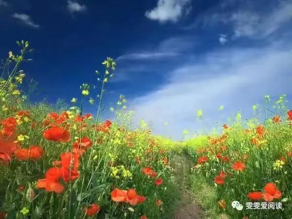 生活压力日益增长,工作滋长胡思乱想,告诫自己缓解压力方法多