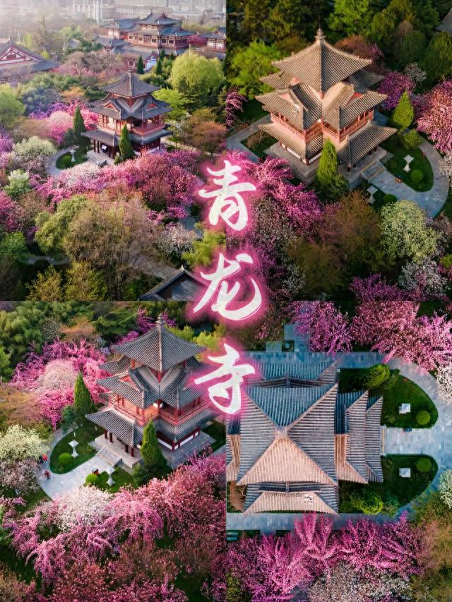 青龙寺攻略(青龙寺营业时间)