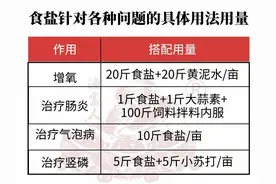 食盐在塘口的功效和具体用法图片