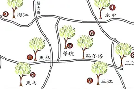 入手新会陈皮必须知道的避坑方式图片