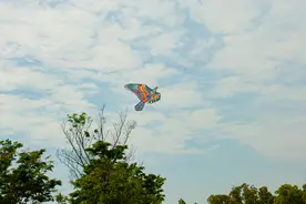 确定两个日期之间的工作日天数图片