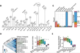 Science：失智症相关的转录网络调节大量细胞类型丰富的基因图片