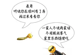 “水蚁把我天花板拆了！”大水蚁不是“蚁”，是蟑螂的一种图片