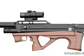 精品赏析：EDgun Lelya 2.0 PCP图片