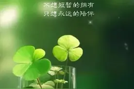 风是自由的，希望你也是。图片