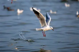 工作中跟领导发生冲突，如何化解与上司的矛盾？图片