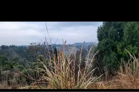 浅丘藏真穴，实地求真诀图片