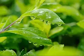 美发女郎，50万20岁姑娘嫁给了70岁的老头（上）图片