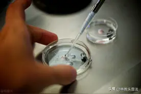 未婚女性的生育权之争：单身女性冻卵应该放开吗？图片