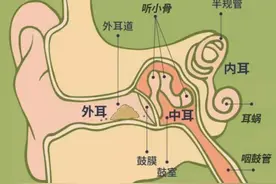 【全国爱耳日】科学爱耳护耳 自测听力健康图片