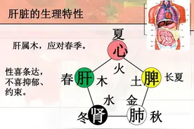 春季排毒正当时，中医教你一个方法，把身体里的“毒素”一网打尽图片