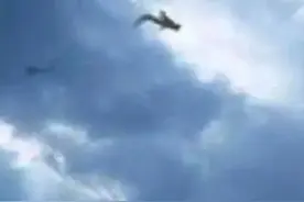 十二生肖之 龙图片