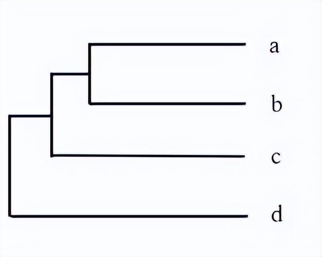 2021年全国中学生生物学联赛试题