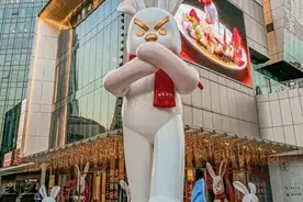 3米高巨型兔，杭州又新增一网红打卡地图片