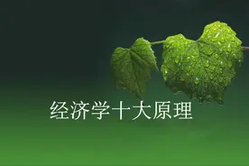 经济学十大原理图片