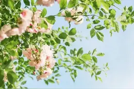 功不唐捐，玉汝于成图片