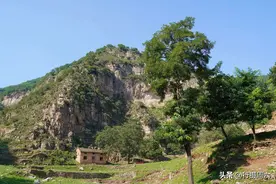 神秘男隐居吕梁山谷，石屋常留2条猛犬看守，生活在世外桃源图片
