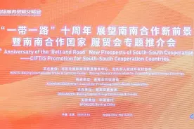 南南合作国家服贸会专题推介会成功举办图片