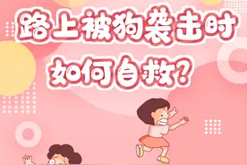 路上遇狗袭击时，如何自救？图片