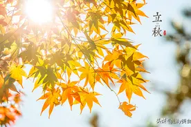 8月8日立秋，这5个生肖要“躲秋”，多吃2样，尊重传统，顺利度秋图片