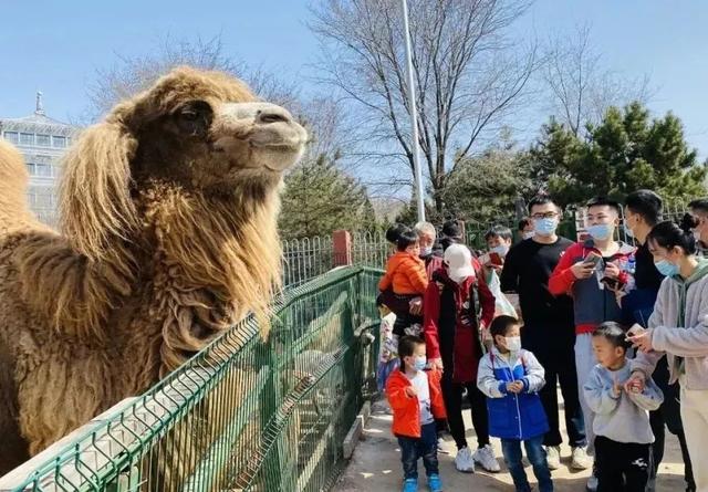 “五一”西安景区活动攻略 请查收