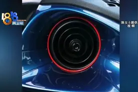 “喷粉末的比亚迪海豚”：有车主换过一次还喷图片