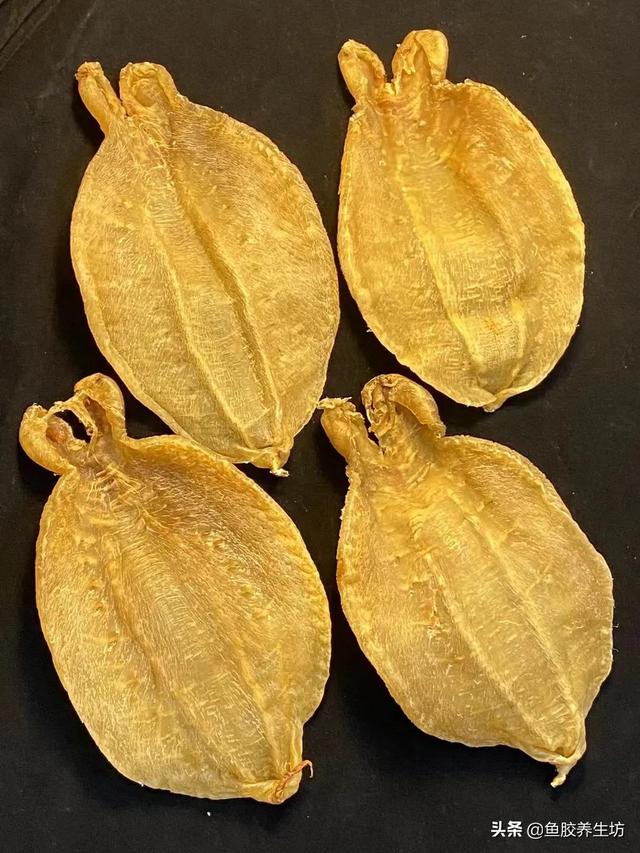赤嘴鳘鱼胶真假 2026年赤嘴鱼胶的口感