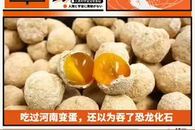吃过河南变蛋，还以为吞了恐龙化石图片