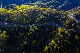 农民没有领取到公益林补贴资金的原因分析图片