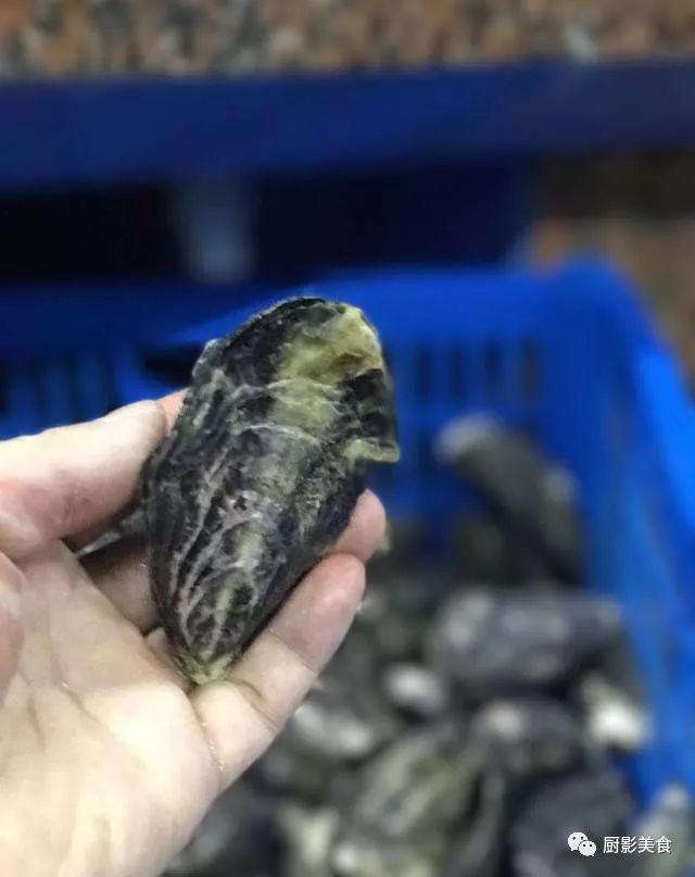 什么海鲜胶原蛋白最多 2025年海鲜含有胶原蛋白吗