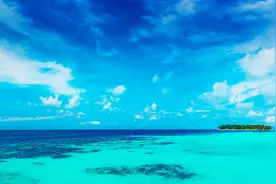 难起，下焦潮湿，罪魁祸首竟在身边？这则医案值得深思图片