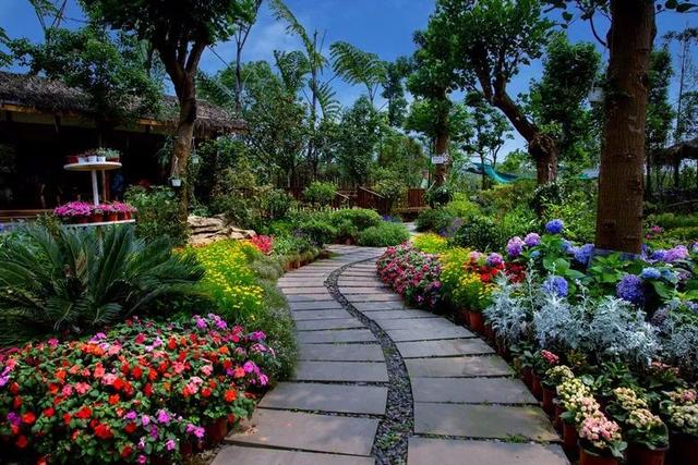 花草图片风景图片大全古井(风景图片大全高清图片花草)-措必培