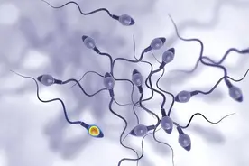 失落的精子！男性精子数量大减，究竟是为什么？图片