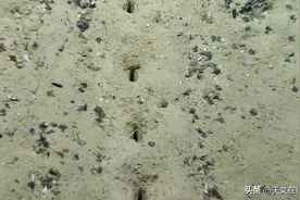 外星人？在海底？这是真的吗？图片