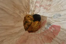 快侦快破！遂川警方破获一起非法狩猎“三有”保护动物案图片