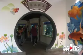 重庆动物园金鱼馆全新亮相 大熊猫“围炉煮茶”等你来图片