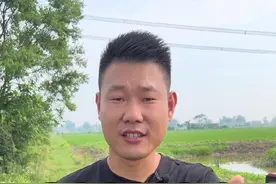 怎样才能让育苗塘出早苗？这条视频统统告诉你#水产养殖 #小龙虾养殖 #小龙虾育苗