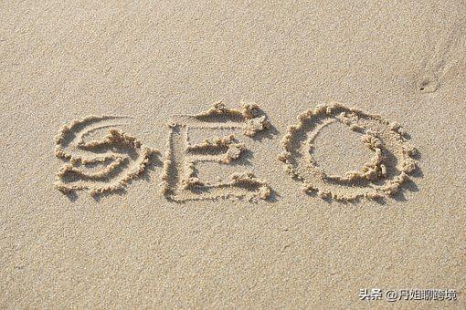 ���������վ����������SEO����