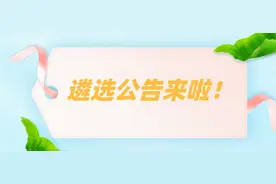公务员公开遴选办法图片