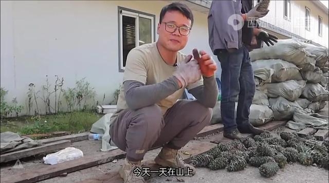 旅行自媒体用车面面观！真的是比烂大赛，但有几位值得颁大奖